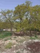 Land For Sale, Agricultural, Saguramo