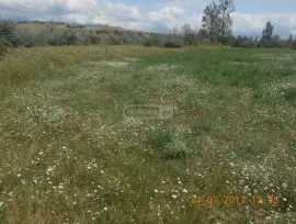 Land For Sale, Agricultural, Martkopi