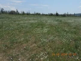 Land For Sale, Agricultural, Martkopi