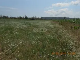 Land For Sale, Agricultural, Martkopi