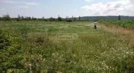 Land For Sale, Agricultural, Martkopi