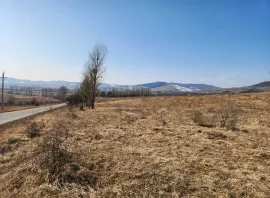 Land For Sale, Tskhvarichamia