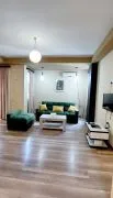 Daily Apartment Rent, 3 Room, New building, Tbilisi, saburtalo