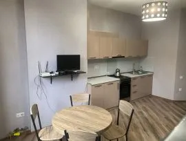 Apartment for sale, 2 Room, New building, Tbilisi, vake