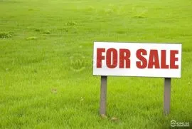 Land For Sale, Non Agricultural, Shankevani