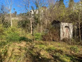 Land For Sale, For Investment, Mtsvane Kontskhi