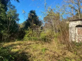 Land For Sale, For Investment, Mtsvane Kontskhi