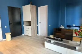 For Rent, 1 Room, New building, Tbilisi, Didi digomi