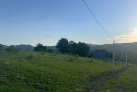 Land For Sale, Non Agricultural, Tetri Tsqlebi