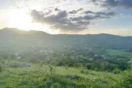 Land For Sale, Non Agricultural, Tetri Tsqlebi