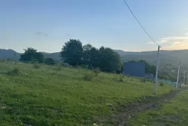 Land For Sale, Non Agricultural, Tetri Tsqlebi