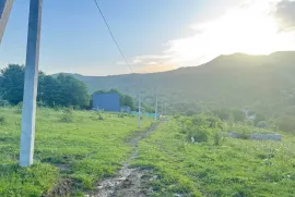 Land For Sale, Non Agricultural, Tetri Tsqlebi