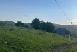 Land For Sale, Non Agricultural, Tetri Tsqlebi