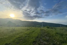 Land For Sale, Non Agricultural, Tetri Tsqlebi