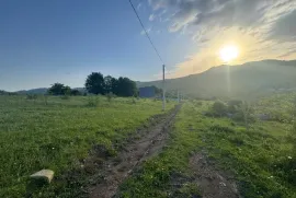 Land For Sale, Non Agricultural, Tetri Tsqlebi