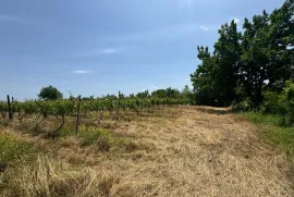 Продается Земля, Специальный, Akhateli