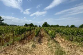 Продается Земля, Специальный, Akhateli