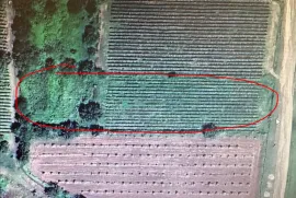 იყიდება მიწის ნაკვეთი, სპეციალური, ახატელი