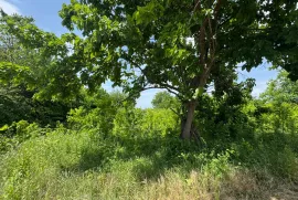 Продается Земля, Специальный, Akhateli