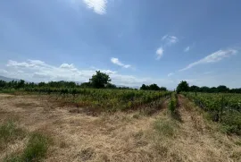 Продается Земля, Специальный, Akhateli