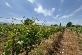 Продается Земля, Специальный, Akhateli