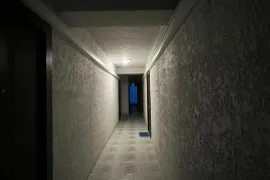 Аренда, 2 Kомнатная, Новостройка, Тбилиси, Диди Дигоми