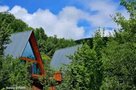 Продается , Гостиница, Tskhvarichamia