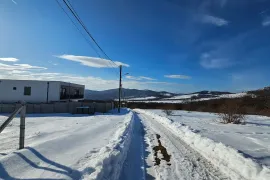 Продается Земля, Сельскохозяйственные, Коджори