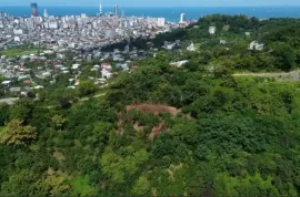 Продается Земля, Сельскохозяйственные, Zeda Ghele