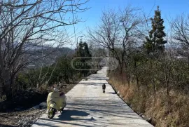 Продается Земля, Сельскохозяйственные, Zeda Ghele