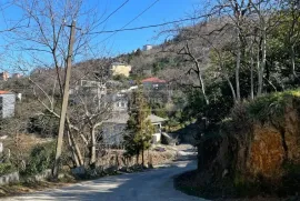 Продается Земля, Сельскохозяйственные, Zeda Ghele