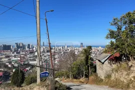 Продается Земля, Сельскохозяйственные, Zeda Ghele