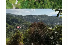 იყიდება მიწის ნაკვეთი, სასოფლო - სამეურნეო, ზედა ღელე