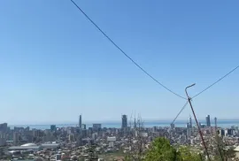 Продается Земля, Сельскохозяйственные, Zeda Ghele