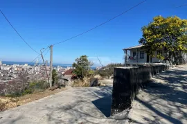 Продается Земля, Сельскохозяйственные, Zeda Ghele