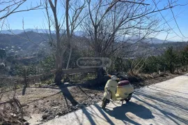 Продается Земля, Сельскохозяйственные, Zeda Ghele