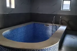 House For Sale, 22 Room, Tbilisi, saburtalo