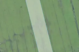 Продается Земля, Для Инвестиций, Анаклия