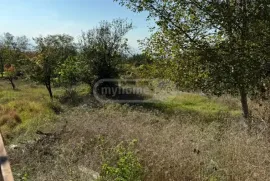 იყიდება მიწის ნაკვეთი, საინვესტიციო, საგურამო