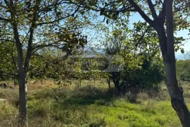 იყიდება მიწის ნაკვეთი, საინვესტიციო, საგურამო