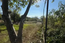 იყიდება მიწის ნაკვეთი, საინვესტიციო, საგურამო