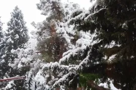 Apartment for sale, 3 Room, Old building, Tbilisi, Samgori