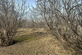 Land For Sale, Agricultural, Naniani