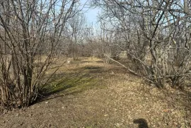 Land For Sale, Agricultural, Naniani