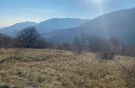 იყიდება მიწის ნაკვეთი, სასოფლო - სამეურნეო, ბევრეთი