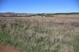 Продается Земля, Сельскохозяйственные, Kumisi