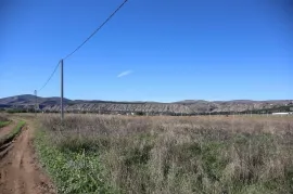 Продается Земля, Сельскохозяйственные, Kumisi