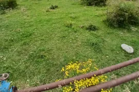 Продается Земля, Бетания