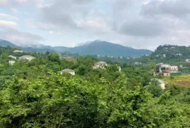 იყიდება მიწის ნაკვეთი, სასოფლო - სამეურნეო, წინსვლა, ჩელტა