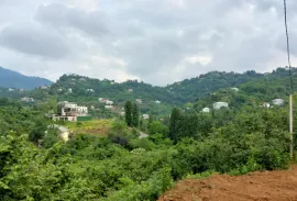 იყიდება მიწის ნაკვეთი, სასოფლო - სამეურნეო, წინსვლა, ჩელტა